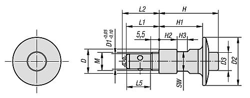 Kugelsperrbolzen mit Pilzgriff, D1=10, L1=21,5, Edelstahl blank, Komp: Edelstahl - K1063.10241 - gibt’s bei HUG Technik ✓