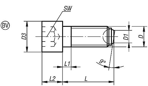 Kugeldruckschraube mit Kopf M08, Form:BV Vergütungsstahl, Komp:Wälzlagerstahl L2=20 - K0380.40820 - bekommst Du bei HUG Technik ♡